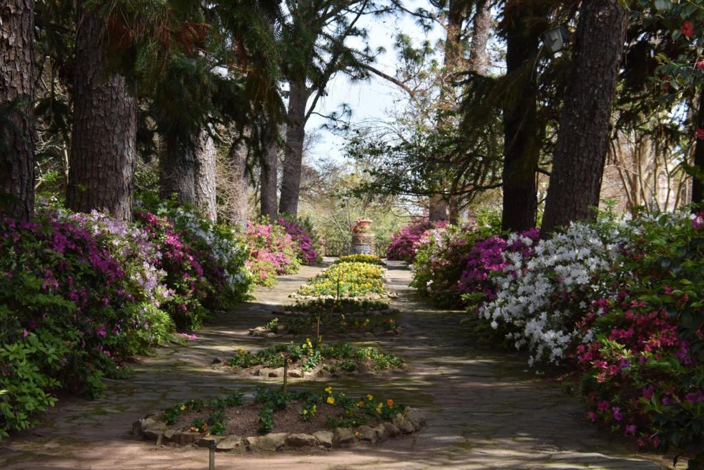 Jasmine Hill Garden and Outdoor Wetumpka Elmore Alabama State Guide